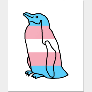 Transgender Pride Flag Penguin Posters and Art